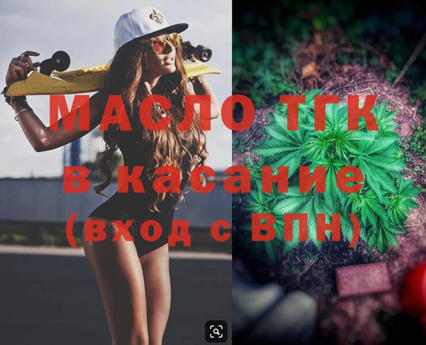 гашик Осинники