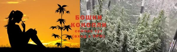 гашик Осинники