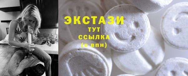 гашик Осинники