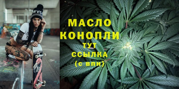 гашик Осинники