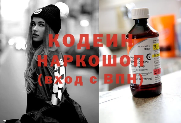гашик Осинники